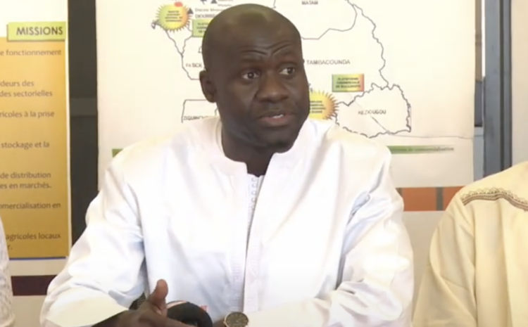  Magal Touba 2024 : L’ARM anticipe sur l’approvisionnement du marché en oignons (Vidéo)